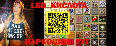 индика Можга