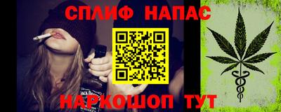 индика Можга