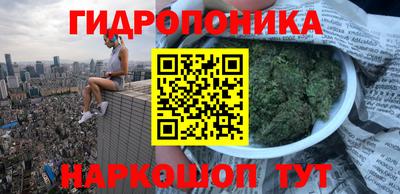 бошки Моздок