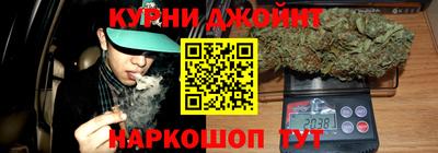 индика Можга