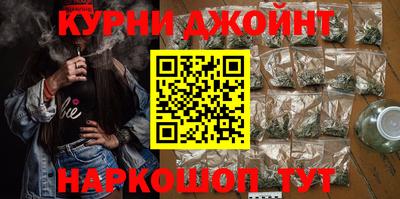индика Можга