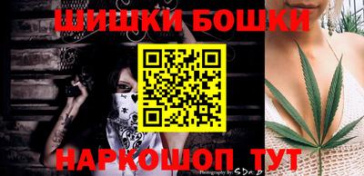 индика Можга