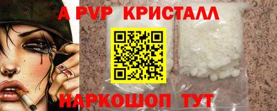 индика Можга