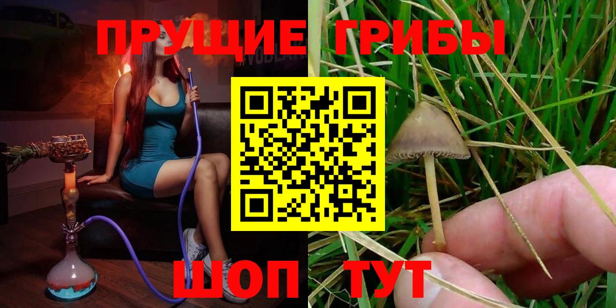 Псилоцибиновые грибы Magic Shrooms Шебекино
