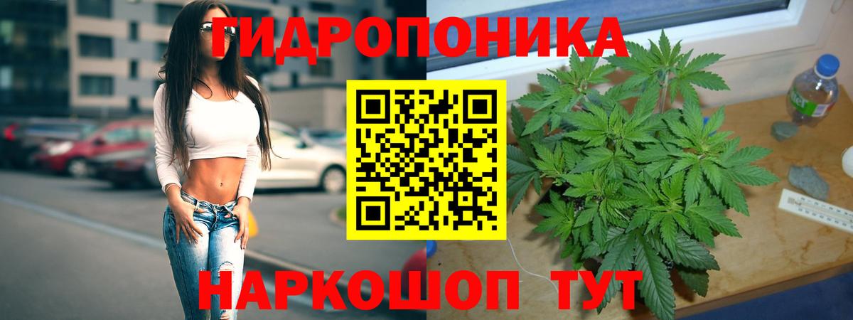 Бошки марихуана конопля  Вход с VPN  Бошки марихуана VHQ  Шебекино 